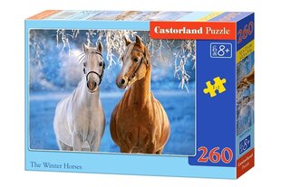 Palapeli Castorland The Winter Horses, 260 kpl hinta ja tiedot | Palapelit | hobbyhall.fi