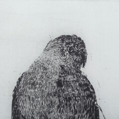 Kangas 60 x 2,5 x 90 cm Paukštis hinta ja tiedot | Taulut | hobbyhall.fi