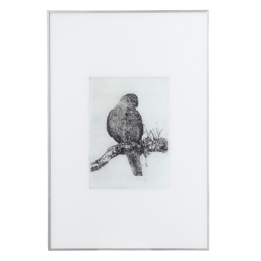 Kangas 60 x 2,5 x 90 cm Paukštis hinta ja tiedot | Taulut | hobbyhall.fi