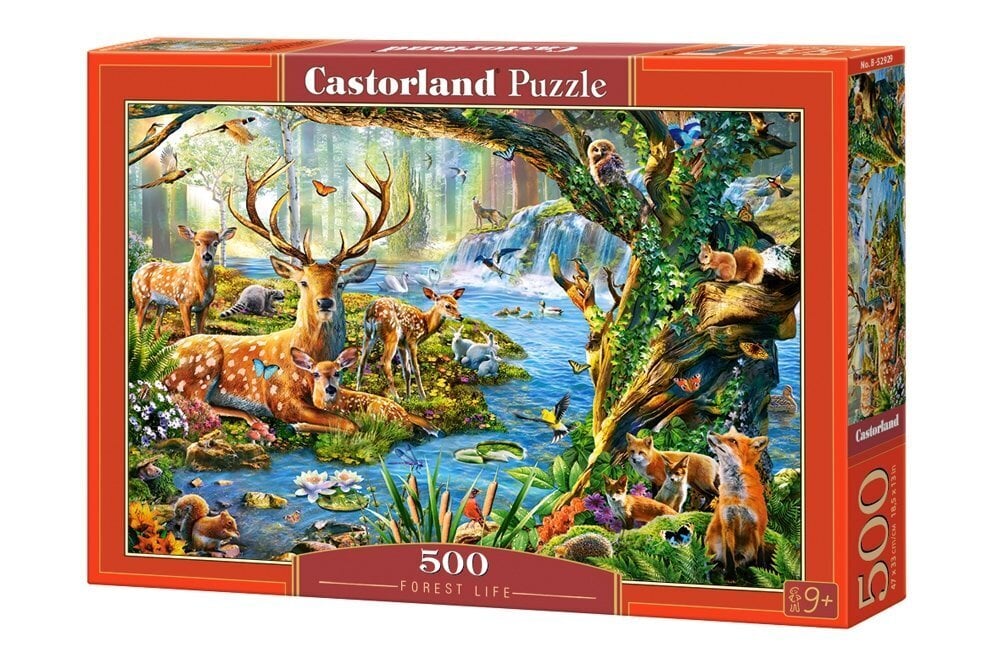 Palapeli Castorland Forest Life, 500 palaa hinta ja tiedot | Palapelit | hobbyhall.fi