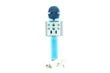 Mikrofoni karaoke WS-858 hinta ja tiedot | Mikrofonit | hobbyhall.fi