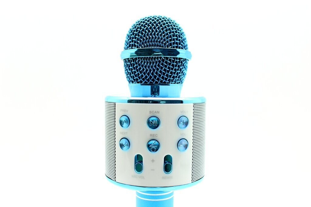 Mikrofoni karaoke WS-858 hinta ja tiedot | Mikrofonit | hobbyhall.fi