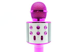 Mikrofoni karaoke WS-858 hinta ja tiedot | Mikrofonit | hobbyhall.fi