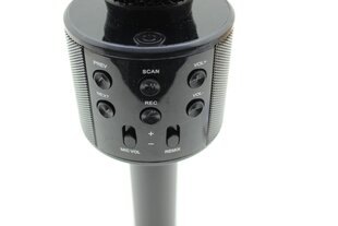 Mikrofoni karaoke WS-858 hinta ja tiedot | Mikrofonit | hobbyhall.fi