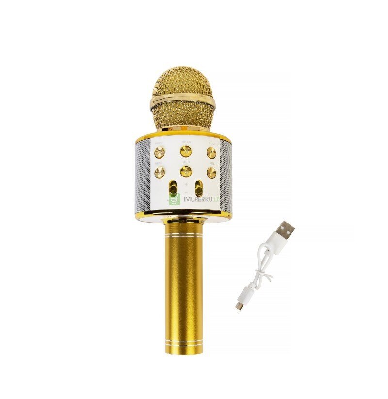 Mikrofoni karaoke WS-858 hinta ja tiedot | Mikrofonit | hobbyhall.fi