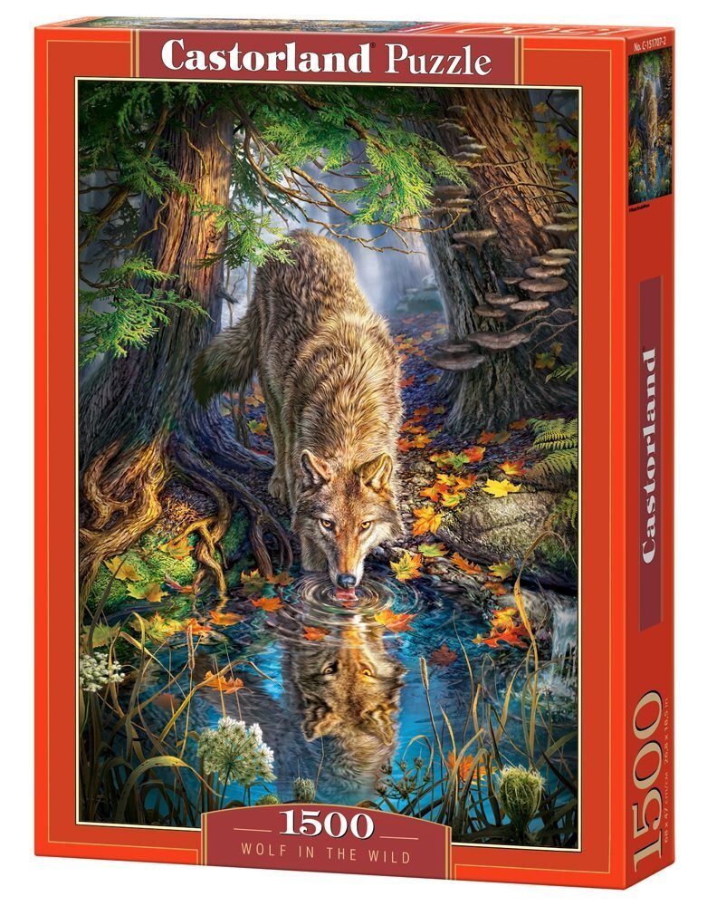 Palapeli Castorland Wolf in the Wild, 1500 palaa hinta ja tiedot | Palapelit | hobbyhall.fi