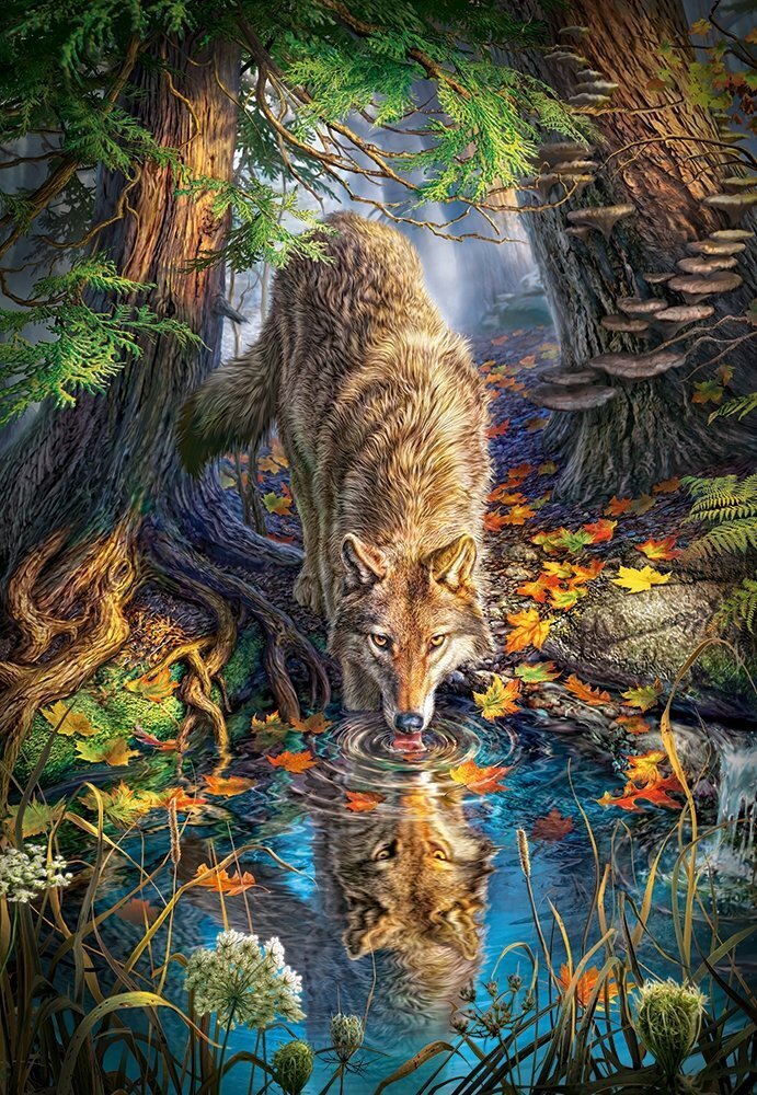 Palapeli Castorland Wolf in the Wild, 1500 palaa hinta ja tiedot | Palapelit | hobbyhall.fi