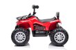 Quad Quad Madman JS009, punainen hinta ja tiedot | Lasten sähköautot | hobbyhall.fi