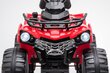 Quad Quad Madman JS009, punainen hinta ja tiedot | Lasten sähköautot | hobbyhall.fi