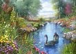 Palapeli Castorland Black Swans, 1500 kpl hinta ja tiedot | Palapelit | hobbyhall.fi