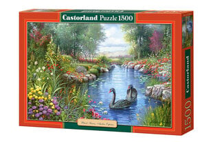 Palapeli Castorland Black Swans, 1500 kpl hinta ja tiedot | Palapelit | hobbyhall.fi