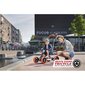 Potkuauto ohjaustangolla BERG Gokart 2in1 hinta ja tiedot | Kolmipyörät | hobbyhall.fi