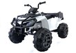 QUAD 0909 mönkijä lapsille, valkoinen hinta ja tiedot | Lasten sähköautot | hobbyhall.fi