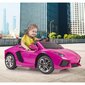 Lasten yksipaikkainen sähköauto - Lamborghini Aventador, vaaleanpunainen hinta ja tiedot | Lasten sähköautot | hobbyhall.fi