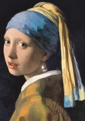 TREFL Palapeli Vermeer, 1000 palaa hinta ja tiedot | Palapelit | hobbyhall.fi