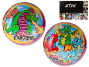 Pallo - Magic Dragons hinta ja tiedot | Hiekkalelut ja rantalelut | hobbyhall.fi