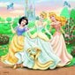 Palapeli Ravensburger Disney Princess 3 x 49 osa hinta ja tiedot | Palapelit | hobbyhall.fi