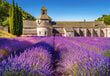Palapeli Palapeli Castorland Lavender Field, Provence, Ranska, 1000 palaa hinta ja tiedot | Palapelit | hobbyhall.fi
