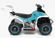 Quad GTS 1188-A mönkijä lapsille, valkoinen hinta ja tiedot | Lasten sähköautot | hobbyhall.fi