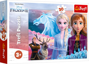 TREFL FROZEN Palapeli Frozen 2, 30 palaa hinta ja tiedot | Palapelit | hobbyhall.fi
