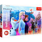 TREFL Suuri Palapeli 24 Frozen 2 hinta ja tiedot | Palapelit | hobbyhall.fi