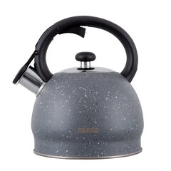 Vedenkeitin Promis TMC11ML Kettle 2.0 l, MATEO, gray marble hinta ja tiedot | Kahvipannut ja teekannut | hobbyhall.fi