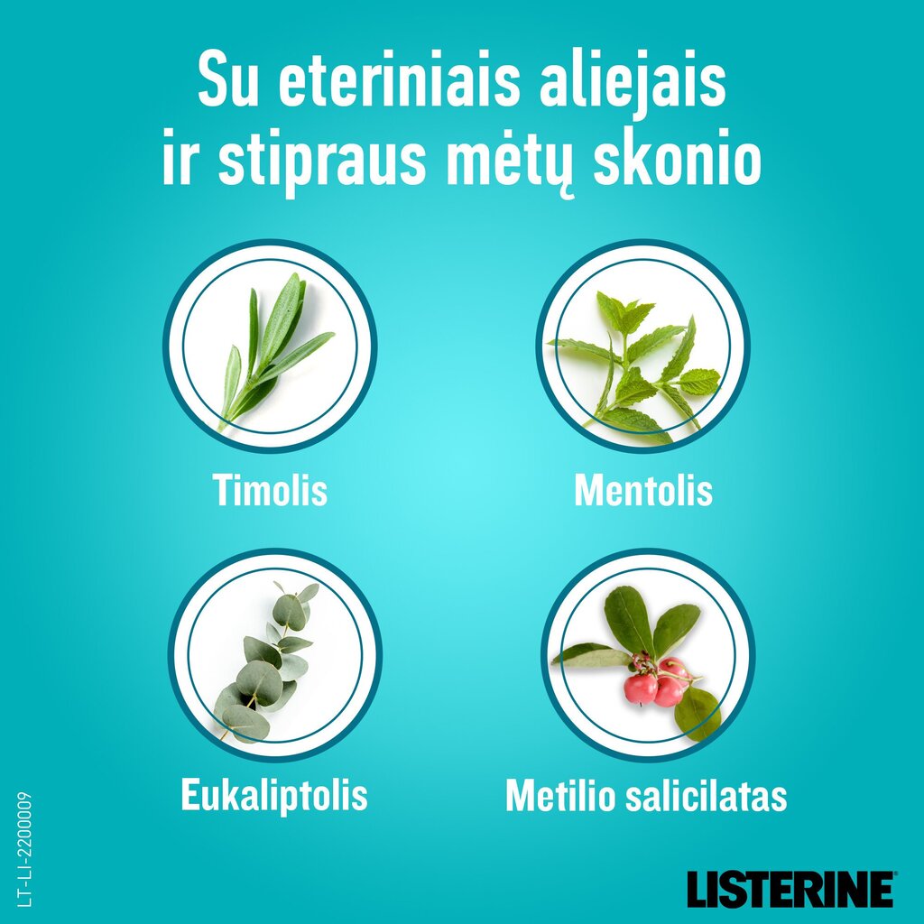 Suun huuhteluneste Listerine Coolmint 1 l hinta ja tiedot | Suuhygienia | hobbyhall.fi