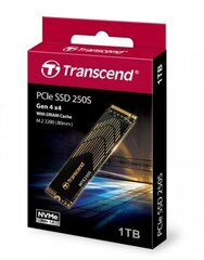 Transcend TS1TMTE250S hinta ja tiedot | Kovalevyt | hobbyhall.fi