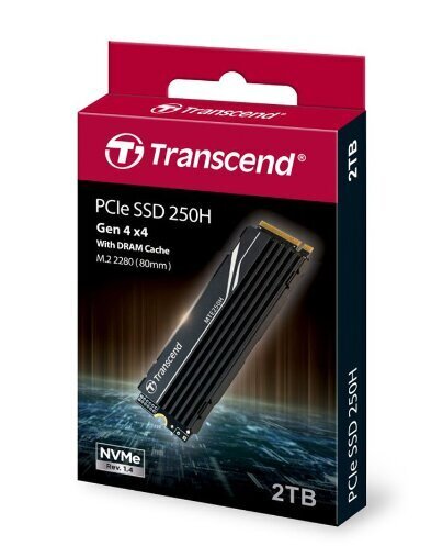 Transcend TS2TMTE250H hinta ja tiedot | Kovalevyt | hobbyhall.fi