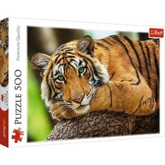 TREFL Palapeli 500 Tiger hinta ja tiedot | Palapelit | hobbyhall.fi