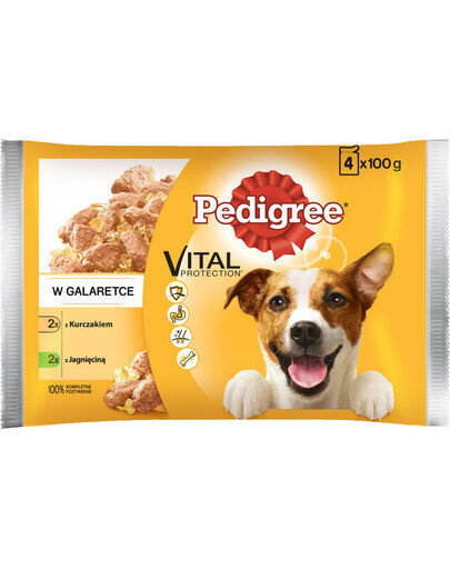 Pedigree Vital Protection lammas ja kana, 52x100 g hinta ja tiedot | Koiran märkäruoka | hobbyhall.fi