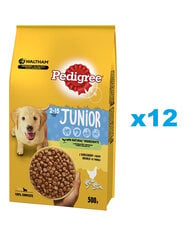 Pedigree Junior pennuille kana, 12x500 g hinta ja tiedot | Koiran kuivaruoka | hobbyhall.fi