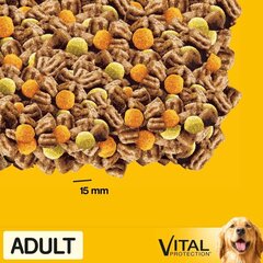 Pedigree Adult aikuisille koirille kana ja vihannekset, 3x2,6 kg hinta ja tiedot | Pedigree Lemmikit | hobbyhall.fi