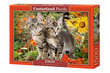 Castorland palapeli, "KITTEN BUDDIES" 1500 palaa hinta ja tiedot | Palapelit | hobbyhall.fi