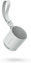 Sony SRSXB100H.CE7 hinta ja tiedot | Kaiuttimet | hobbyhall.fi