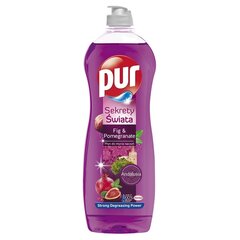 Astianpesuaine PUR POWER Fig&Pomegranate, 750ml hinta ja tiedot | Astianpesuaineet | hobbyhall.fi