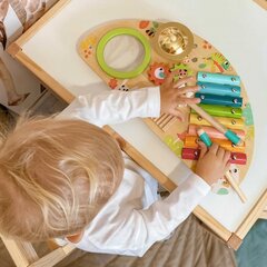 Monikäyttöinen musiikkiväline - Tooky Toy hinta ja tiedot | Vauvan lelut | hobbyhall.fi