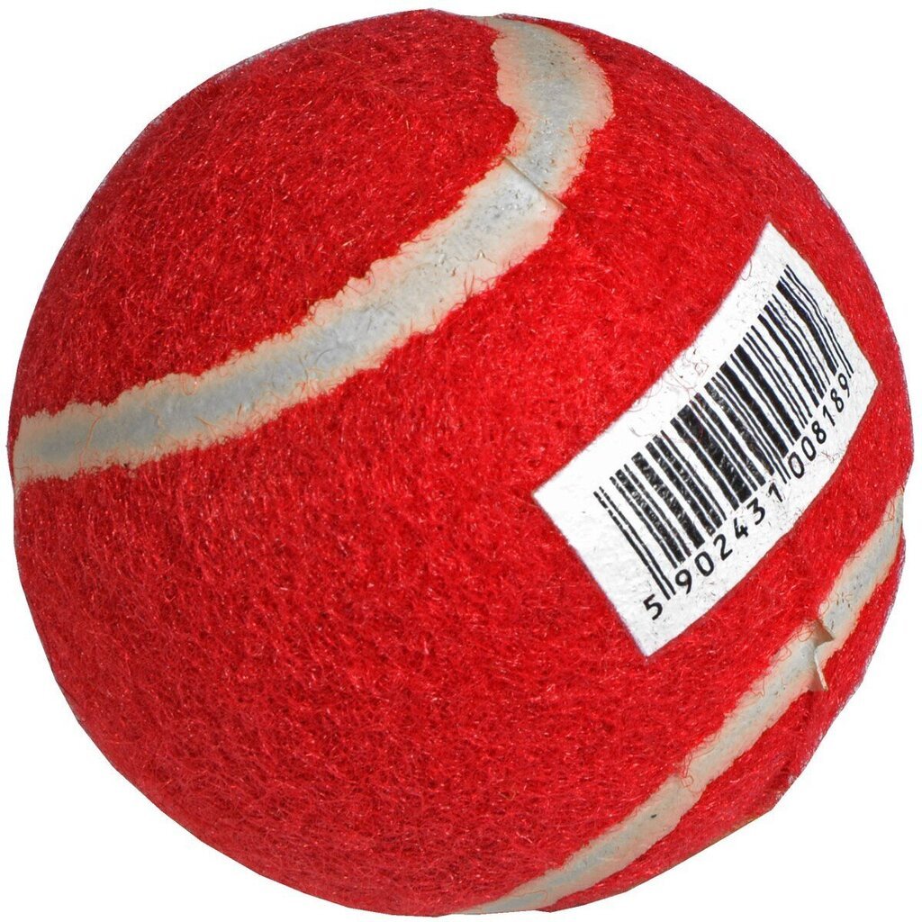 Energia tennis pallo 1 kpl punainen hinta ja tiedot | Tennisvälineet | hobbyhall.fi