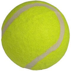 Energia tennispallot, 3 kpl. hinta ja tiedot | Tennisvälineet | hobbyhall.fi