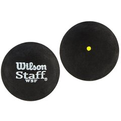 WILSON STAFF squash-pallo, yksittäinen keltainen piste hinta ja tiedot | Wilson Urheilu ja vapaa-aika | hobbyhall.fi
