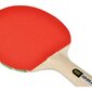 JOOLA BEAT pöytätennismaila hinta ja tiedot | Pingismailat | hobbyhall.fi