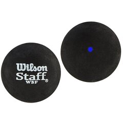 WILSON 1PC squashpallo, yksi sininen piste hinta ja tiedot | Squash | hobbyhall.fi