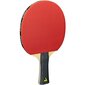 Joola TT-SET Quatro pöytätennissarja hinta ja tiedot | Pingismailat | hobbyhall.fi