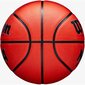 WILSON NCAA ELEVATE BSKT ORANSSI / MUSTA R. 7 koripalloilu hinta ja tiedot | Koripallot | hobbyhall.fi