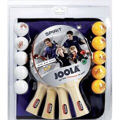 JOOLA perhepöytätennissetti hinta ja tiedot | Pingismailat | hobbyhall.fi