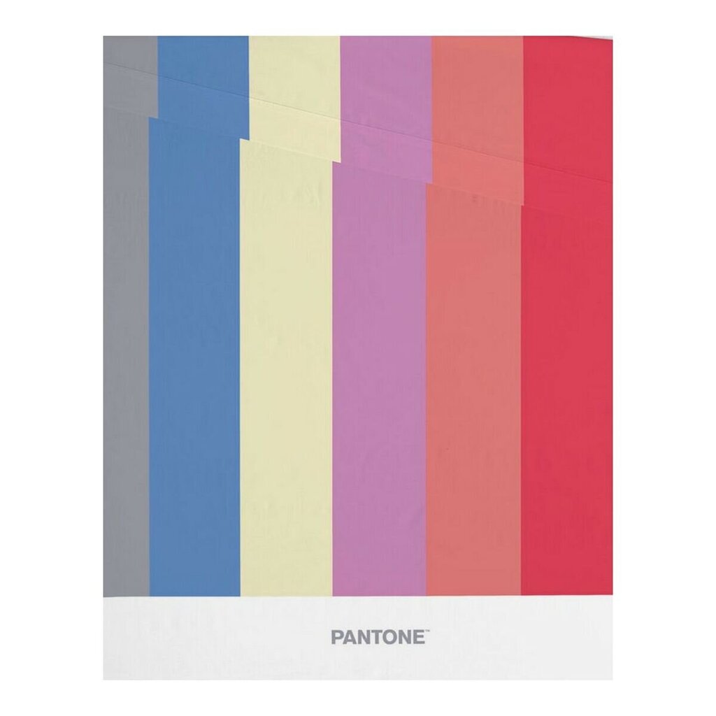 Päällilakana Pantone Stripes (210 x 270 cm) (Sänky 135/140) hinta ja tiedot | Lakanat | hobbyhall.fi