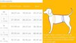 Takki pienille koirille NZO, harmaa hinta ja tiedot | Koiran vaatteet | hobbyhall.fi