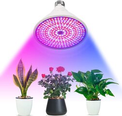 Lamppu kasveille hinta ja tiedot | Home&Living Kodinkoneet ja kodinelektroniikka | hobbyhall.fi