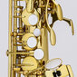 Saksofoni Chateau Valencay CAS-22 Alto hinta ja tiedot | Puhallinsoittimet | hobbyhall.fi