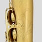 Saksofoni Chateau Valencay CAS-22 Alto hinta ja tiedot | Puhallinsoittimet | hobbyhall.fi
